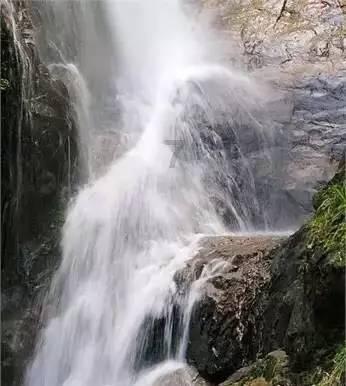 蓝狐视频